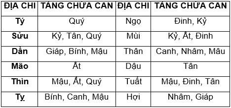 địa chi tàng trong 